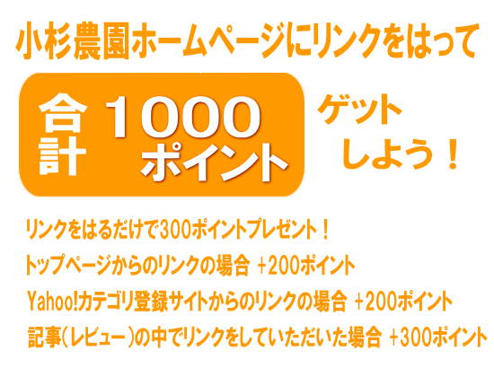 1000points_link