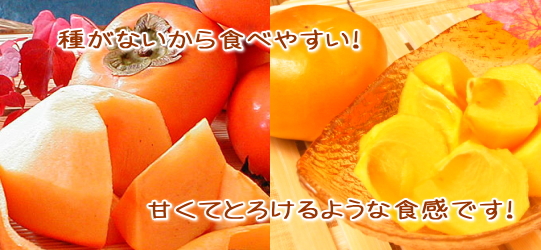 特選「おけさ柿」栄養たっぷり
