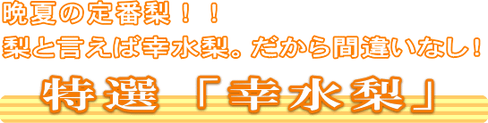 特選「幸水」晩夏の定番梨！梨と言えば幸水梨。