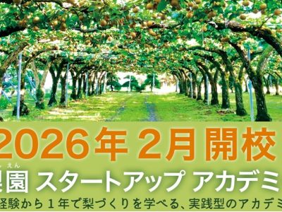 梨づくり スタートアップアカデミーを開講します！